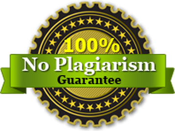 100% No Plagiarism Guarantee
